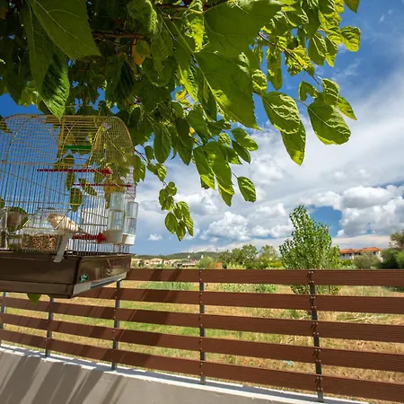 Blu Fiore Tatil Evi