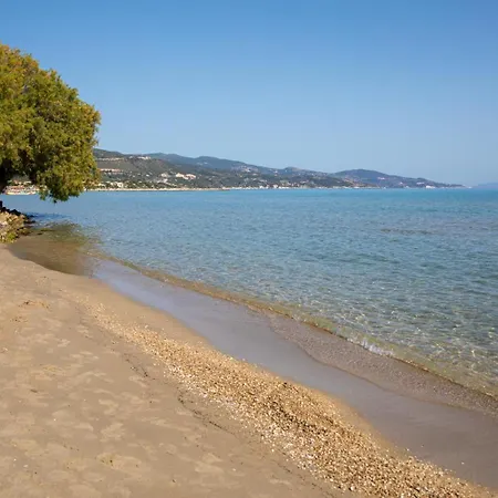 Tatil Evi Blu Fiore *